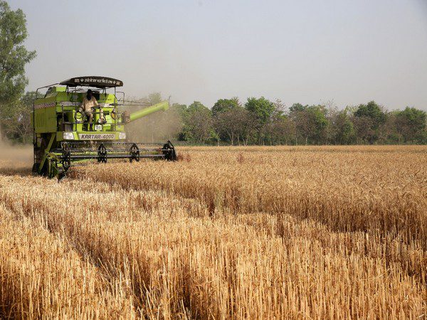Inflation : बढ़ती महंगाई के बीच सरकारी गोदामों से गेंहू और चावल के स्टॉक घटे