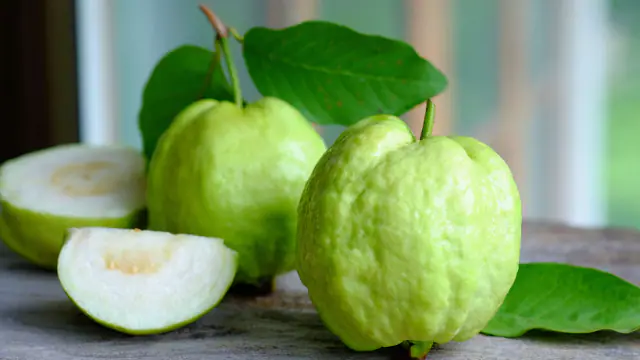 रोजाना एक guava खाने से मिलते हैं ये खास फायदे, वेट लॉस मिशन में लगे लोग जरूर जानें