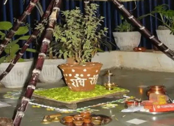 tulsi vivah