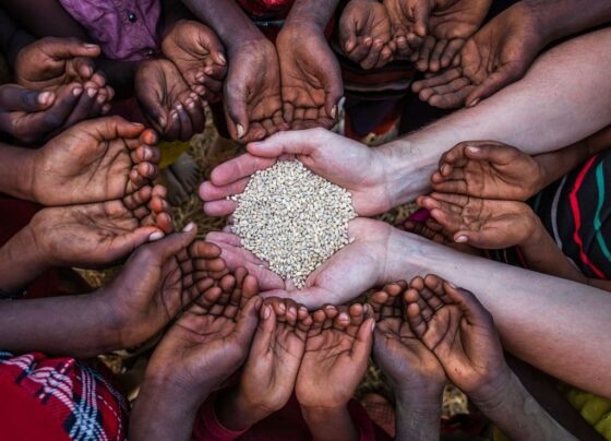 free ration