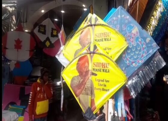 UP Metro Makar Sankranti