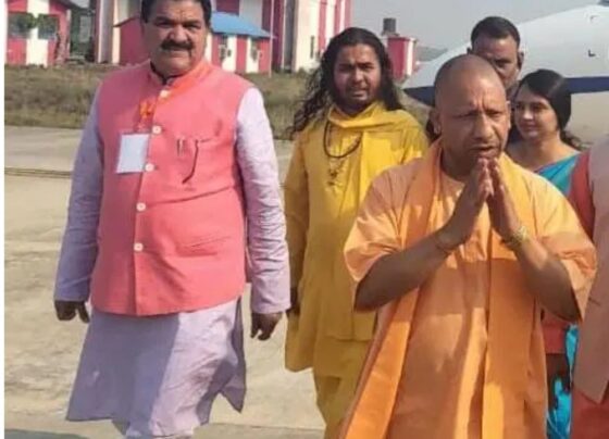 cm yogi