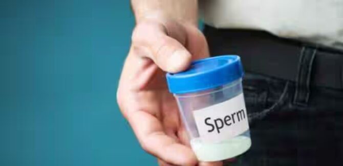 sperm