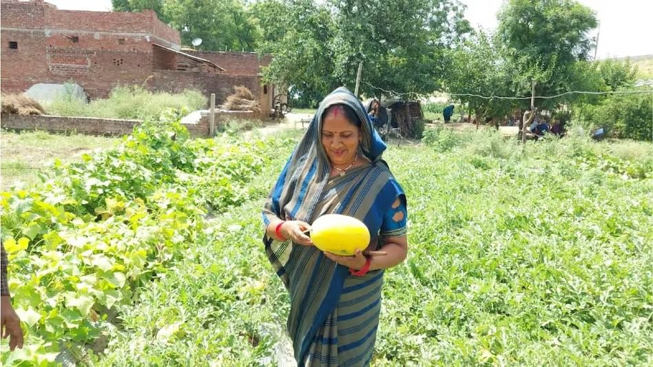 पीले तरबूज की खेती ने दिलाई मंत्रवती महिला किसान को पहचान