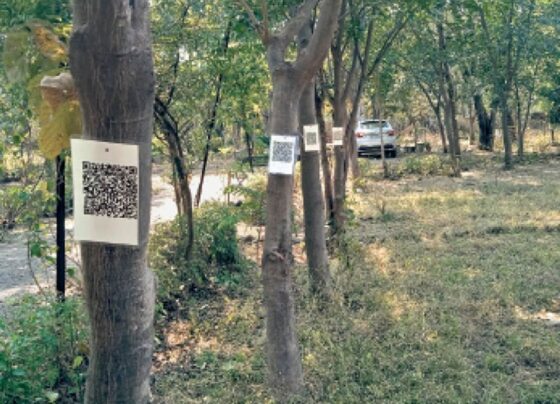 Forest department will start counting trees, information about trees will be available by scanning QR