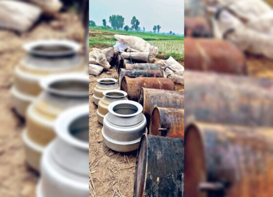 Punjab's Beas river liquor factory, forest in the middle, furnaces on the edges