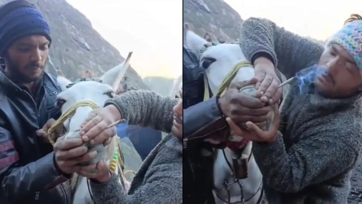 Kedarnath यात्रा मार्ग पर खच्चर को सिगरेट पिलाने का वीडियो वायरल
