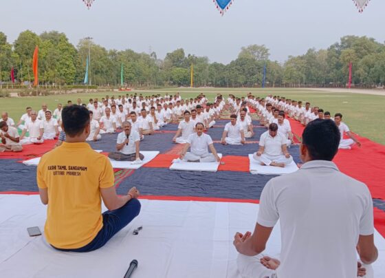 international yoga day