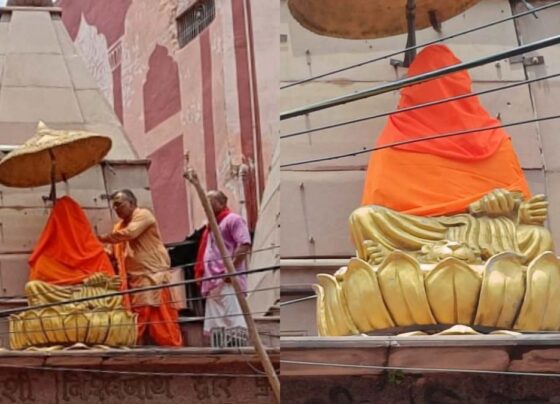 Varanasi Shankaracharya Idol